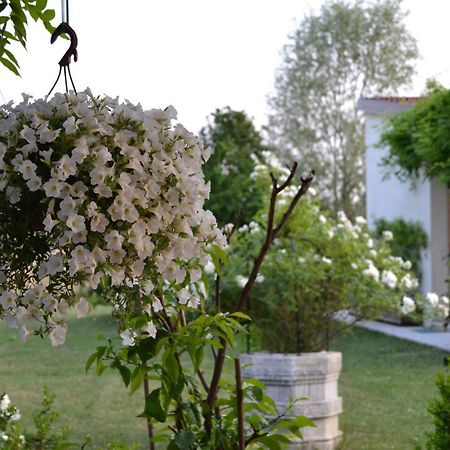 Two Elegant Depandance Villa Conscio Ngoại thất bức ảnh