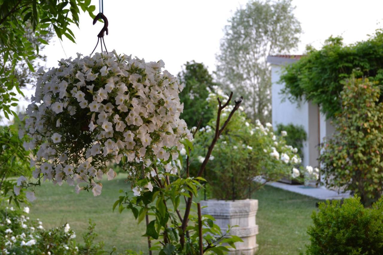 Two Elegant Depandance Villa Conscio Ngoại thất bức ảnh